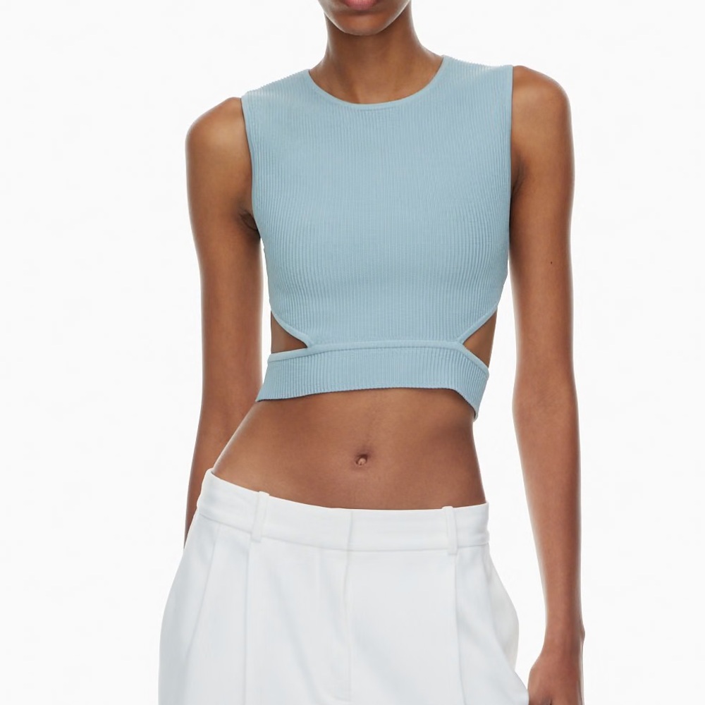 Babaton Sculpt Knit Orchestrate Top Cutout